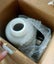 Loading Image 4 of 4