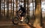 new 2025 Electric bike Carousel 8