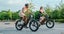 new 2025 Electric bike Carousel 7