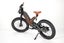 new 2025 Electric bike Carousel 12