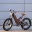 new 2025 Electric bike Carousel 10