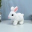1set Electric Plush White Rabbits Toy Fluffy Educational Interactive Bunny Toys Carousel 2