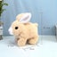 1set Electric Plush White Rabbits Toy Fluffy Educational Interactive Bunny Toys Carousel 4
