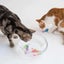 4 LED Interactive Robot Fish Toys for Cats - Glowing Swimming Pet Plaything Carousel 6