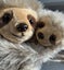 ~ ~Hanging Two Toed SLOTH Plush Animal Soft Toy 30 & 56cms Small & Large ELKA Carousel 5