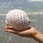 Natural Conch Shell Aquarium Fish Tank Ornament Landscap Sea Snail Decor 10-11cm Carousel 2