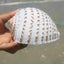 Natural Conch Shell Aquarium Fish Tank Ornament Landscap Sea Snail Decor 10-11cm Carousel 4