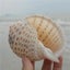 Natural Conch Shell Aquarium Fish Tank Ornament Landscap Sea Snail Decor 10-11cm Carousel 5