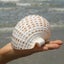 Natural Conch Shell Aquarium Fish Tank Ornament Landscap Sea Snail Decor 10-11cm Carousel 6