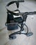 Mobility Walker Carousel 2