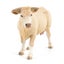 Papo Blonde d'Aquitaine Cow Carousel 3