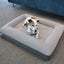 XL orthopedic memory foam bed Carousel 1