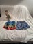 $1/item - 3yo Daycare Bundle Carousel 3