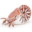 Loading Image 1 of 5