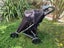 Mountain Buggy Urban Jungle Carousel 2