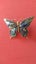 Lovely Paua Butterfly Brooch Carousel 4