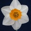 Loading Image 4 of 4