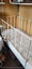 Antique cot for display Carousel 2