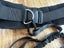 Hands free Dog lead running belt - single & double, Waist bag, shock absorbing Carousel 4