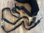 Hands free Dog lead running belt - single & double, Waist bag, shock absorbing Carousel 9