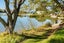 gallery view thumbnail