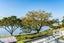 gallery view thumbnail