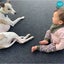 Heavy Duty Garage Carpet Installed Carousel 13