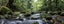 MOUNTAIN STREAM - HI RES DIGITAL ART - ARTIKONZ FOREST RIVER -60 X 150 cm -71488 Carousel 1