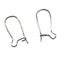 20pc Stainless Steel Kidney Ear Wires Carousel 1