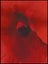 ART CLEARANCE - FIREFLY DIGITAL ART - ARTIKONZ ABSTRACT - SIZE 60 X 80 CM -CF213 Carousel 1