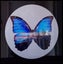 BUTTERFLY FOREST DIGITAL ART - ARTIKONZ ABSTRACT - 80 X 80 CM - CF125 Carousel 1