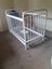 Cot with Mattress, Mattress Protector and two sheets. Carousel 1