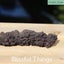 Fossil Poo, Coprolite (TMz115) Carousel 3