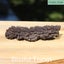 Fossil Poo, Coprolite (TMz115) Carousel 4