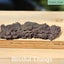 Fossil Poo, Coprolite (TMz115) Carousel 5