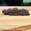 Fossil Poo, Coprolite (TMz115) Carousel 6