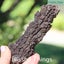 Fossil Poo, Coprolite (TMz115) Carousel 8