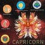 3d Metal Puzzles Capricornus Model Building Kits Creative Diy Set Jigsaw Brai... Carousel 3