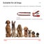 New Dog Training Collar on Afterpay Carousel 3