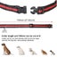 New Dog Training Collar on Afterpay Carousel 6