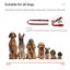 New Dog Training Collar on Afterpay Carousel 3