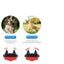 New Dog Training Collar on Afterpay Carousel 9