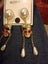EARINGS Carousel 2