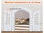 PTN New Dog Door Sale Sale Carousel 3