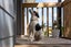 gallery view thumbnail