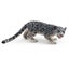 Loading Image 1 of 5