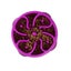 Loading Image 1 of 6