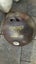 Kiwi made 10-pin bowling game for the lawn - with full size pins and balls. Carousel 5