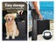New Dog Ramp on Afterpay Carousel 17