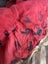 Bulk (~15 items) girls clothing (mostly size 4) Carousel 3